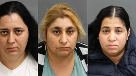 Trei românce ar fi prădat mai mulți bătrâni din Toronto Canada! Care ar fi fost planul acestora?